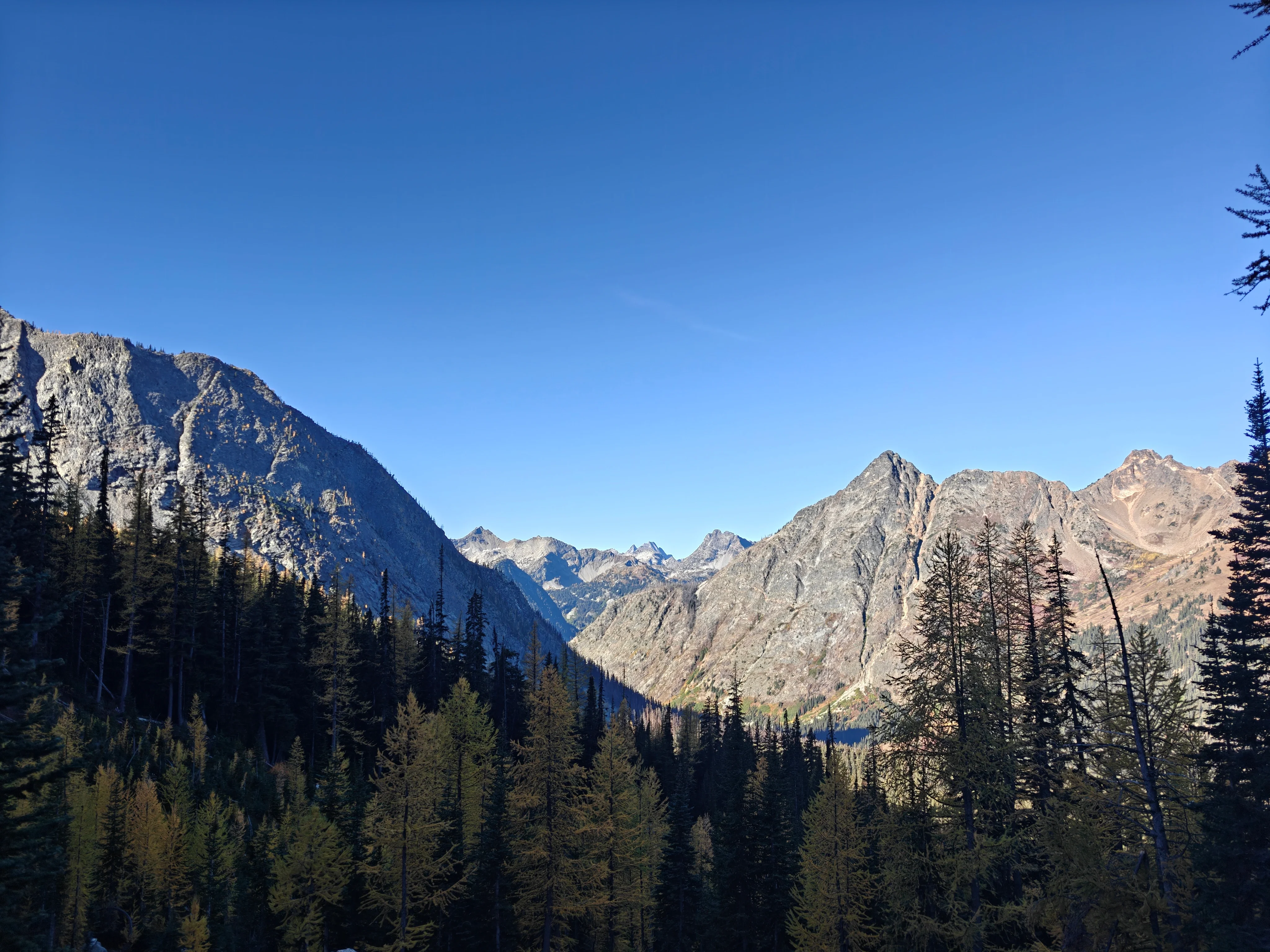 Morning view down a forested valley with golden larches, gray granite peaks on either side under a clear blue sky