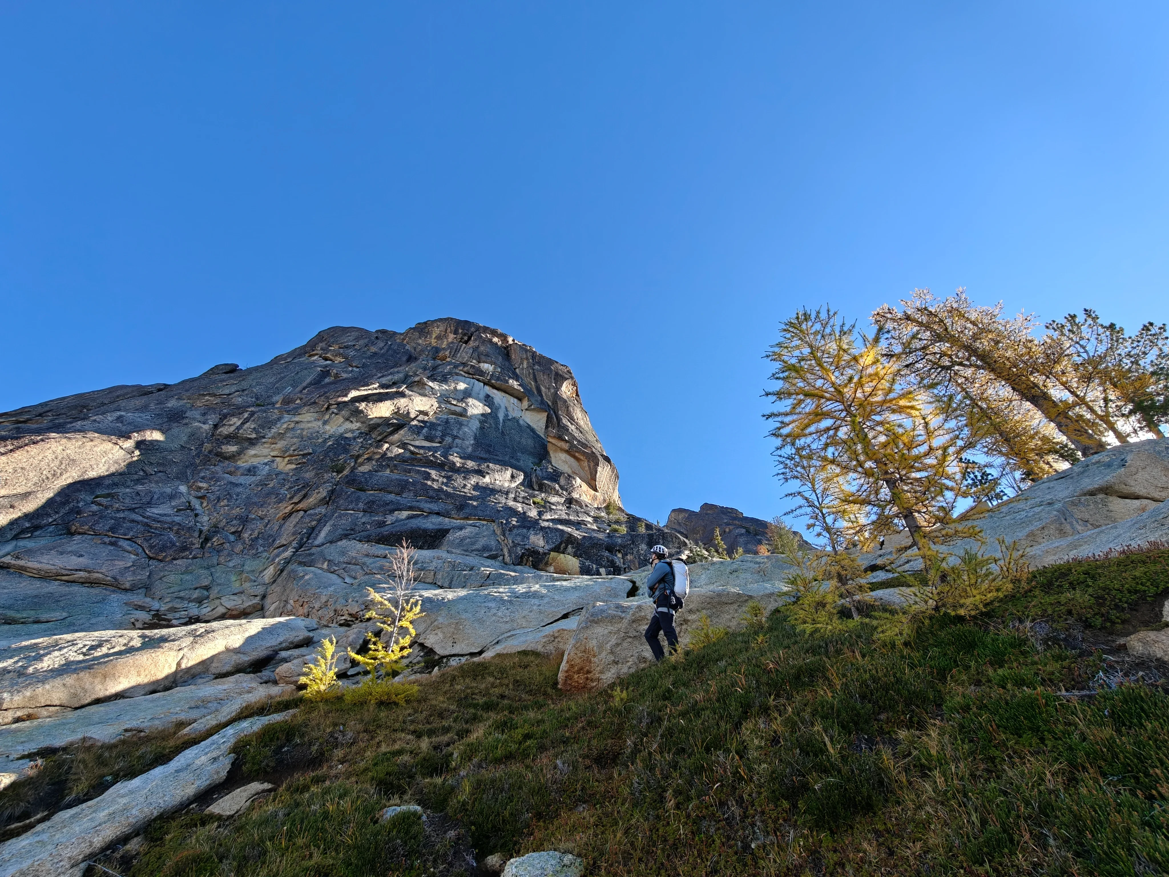 Climber in a helmet standing on a grassy slope at the base of the Northwest Face, larches to the right
