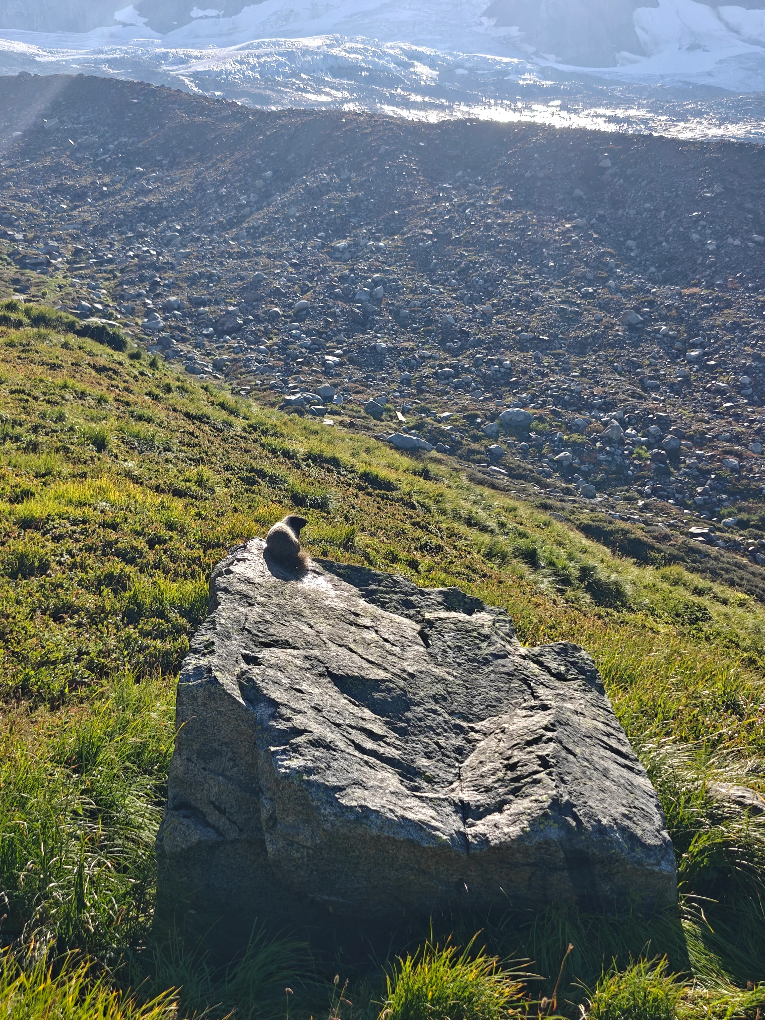 08 marmot overlook
