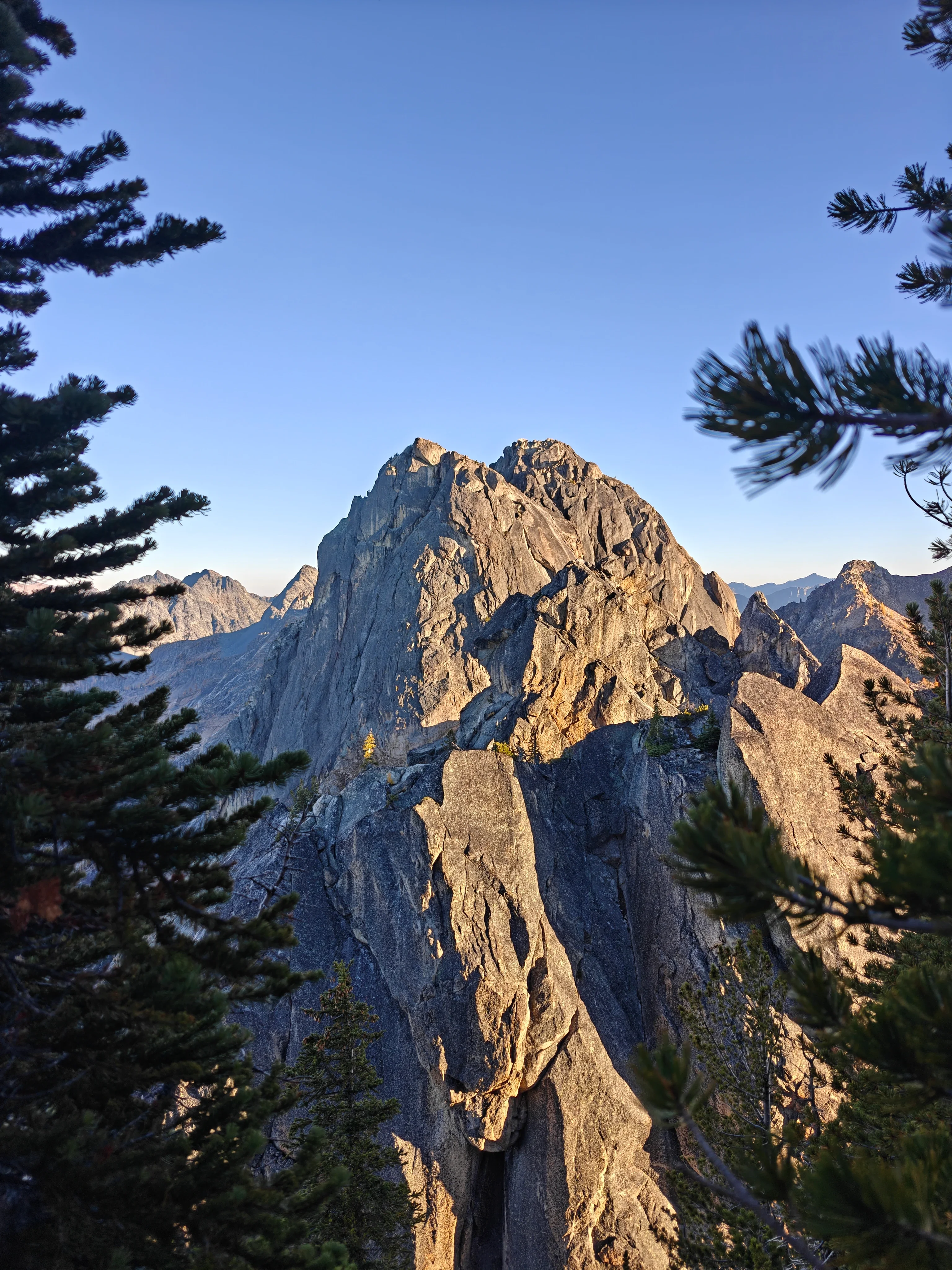 Granite spire glowing in golden-hour light, framed by dark pine branches