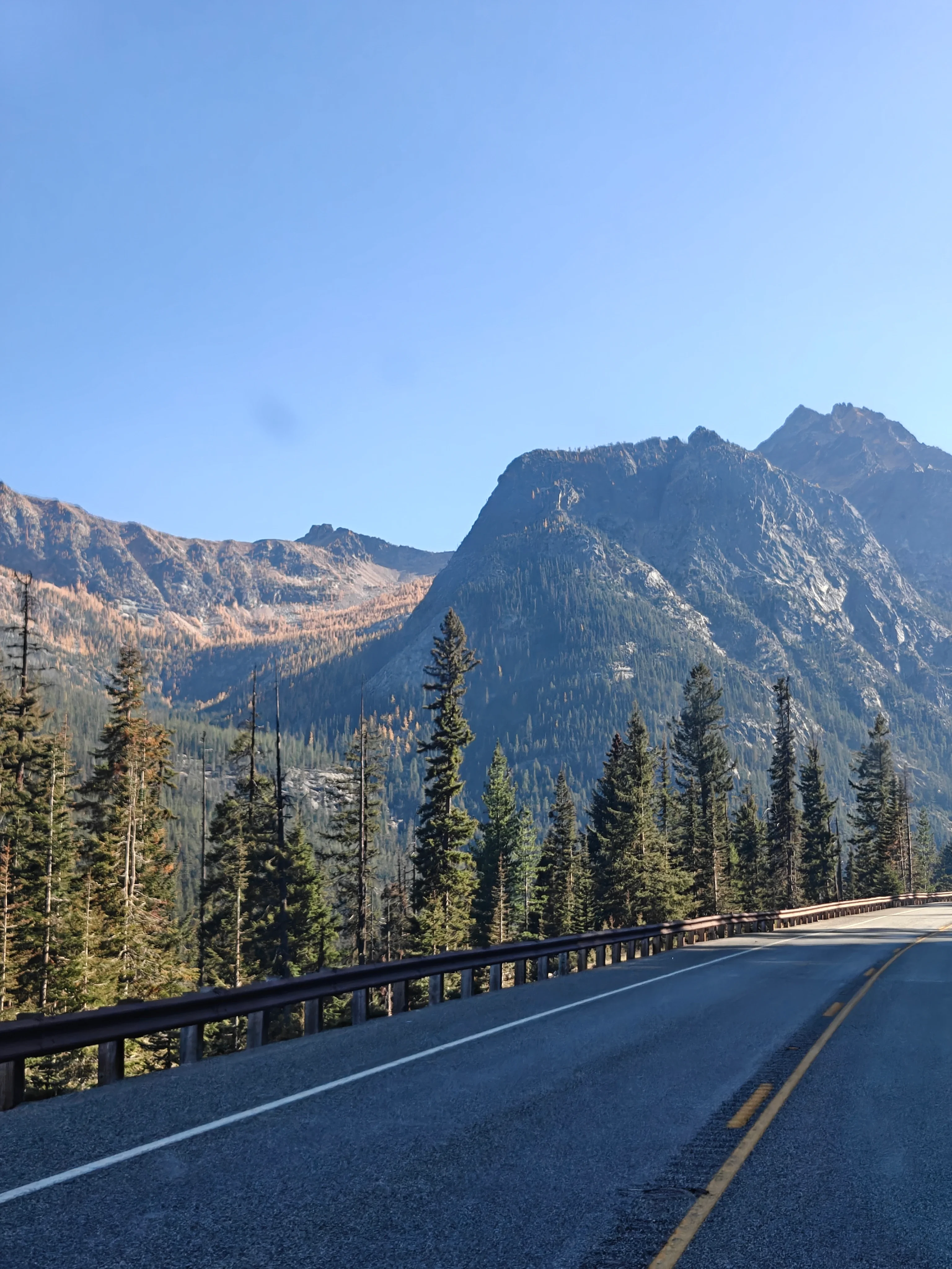 Highway curving past evergreens toward mountains with larch-covered slopes