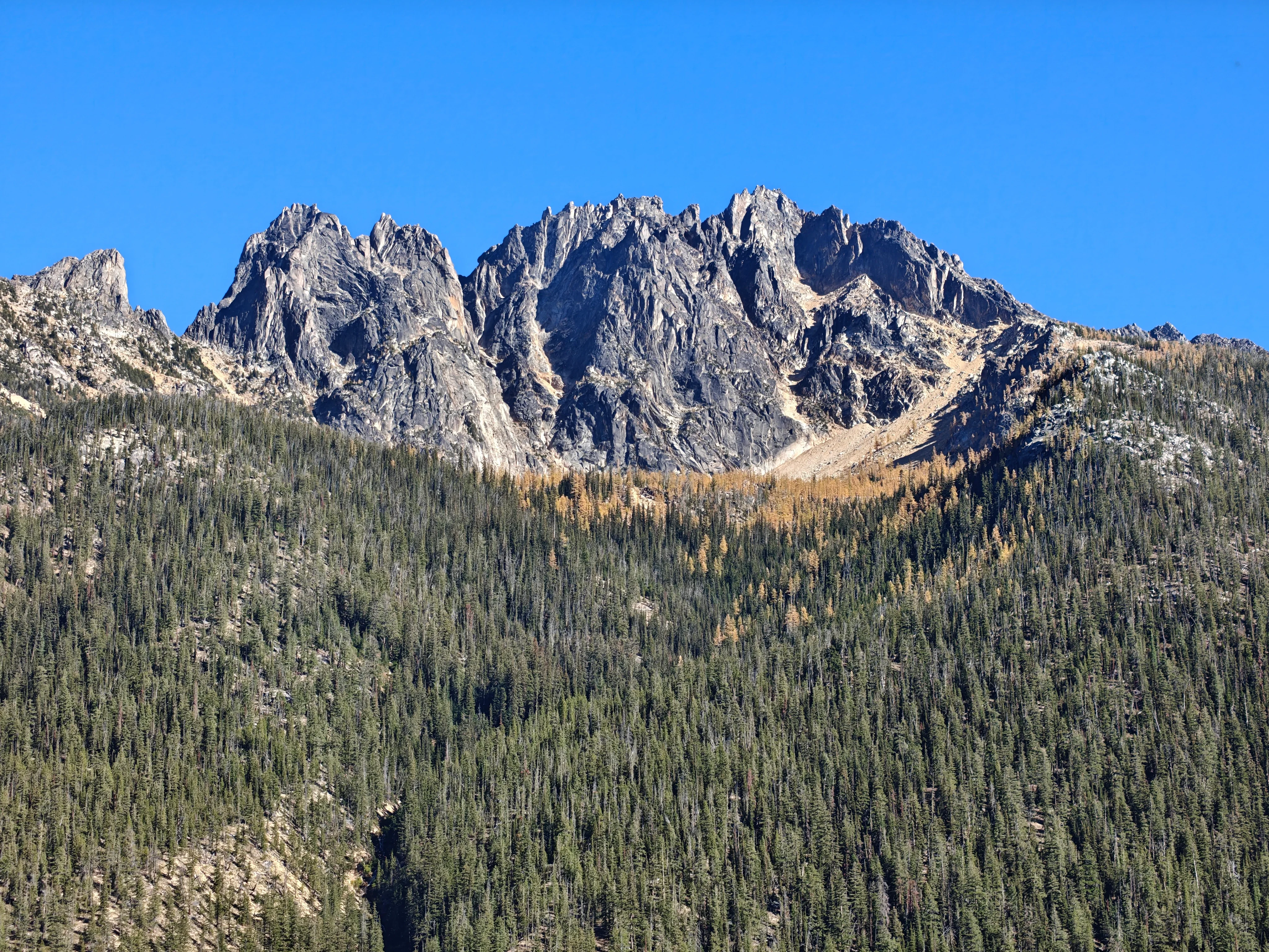Jagged granite peaks above a band of golden larches and dense evergreen forest