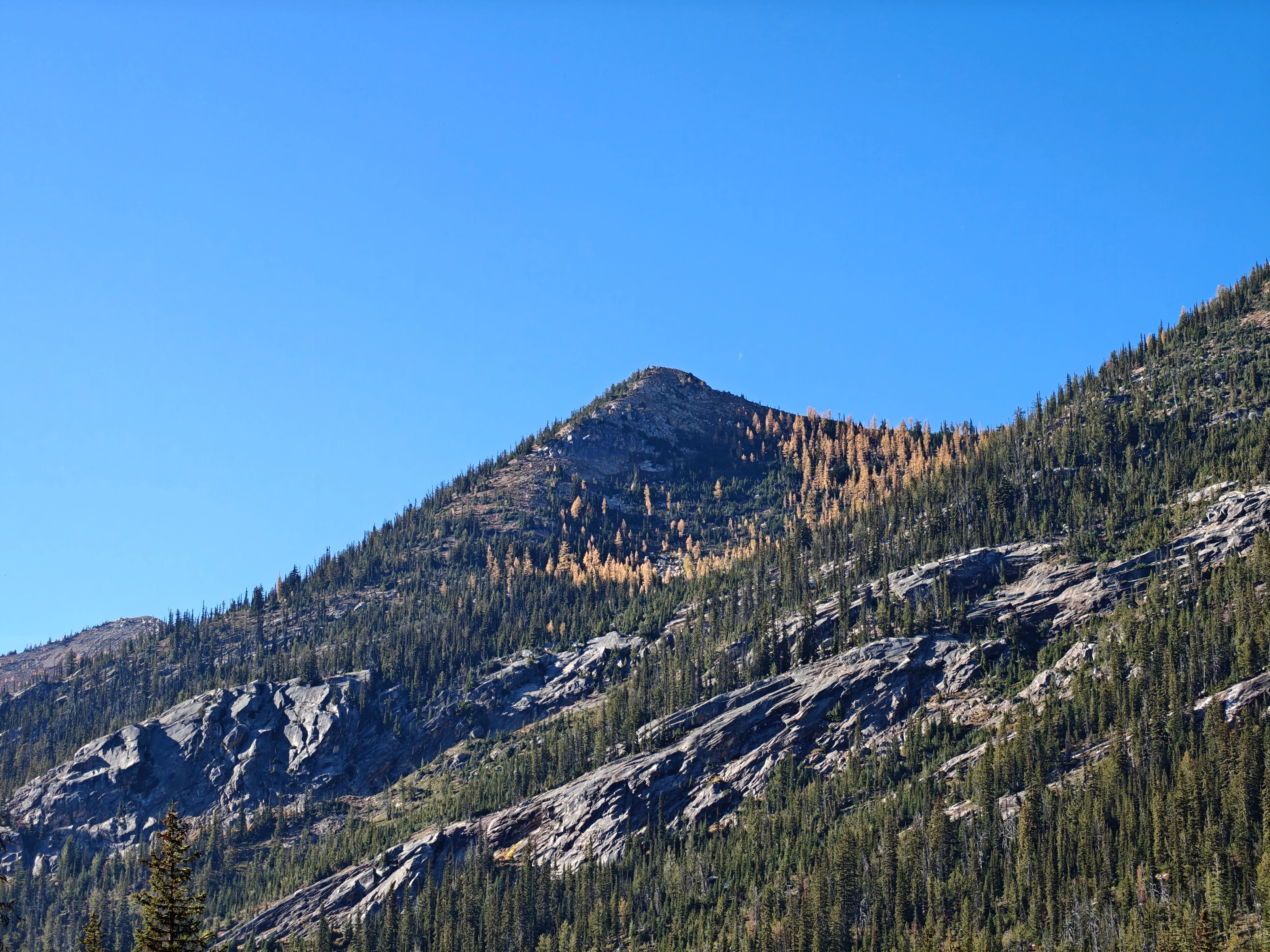 Rocky summit with a patch of golden larches below it and granite slabs on the forested slope