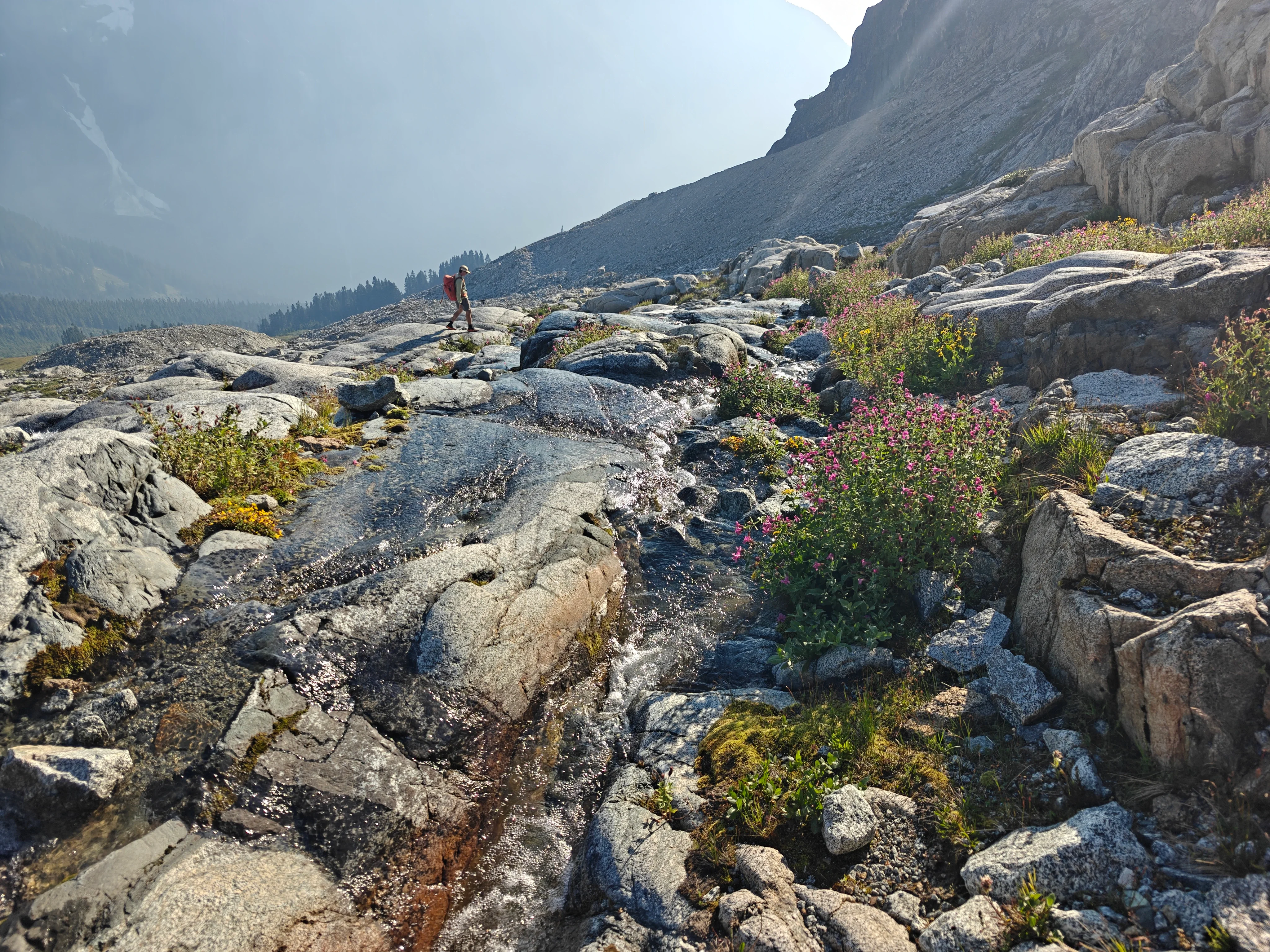 47 monkeyflower stream crossing