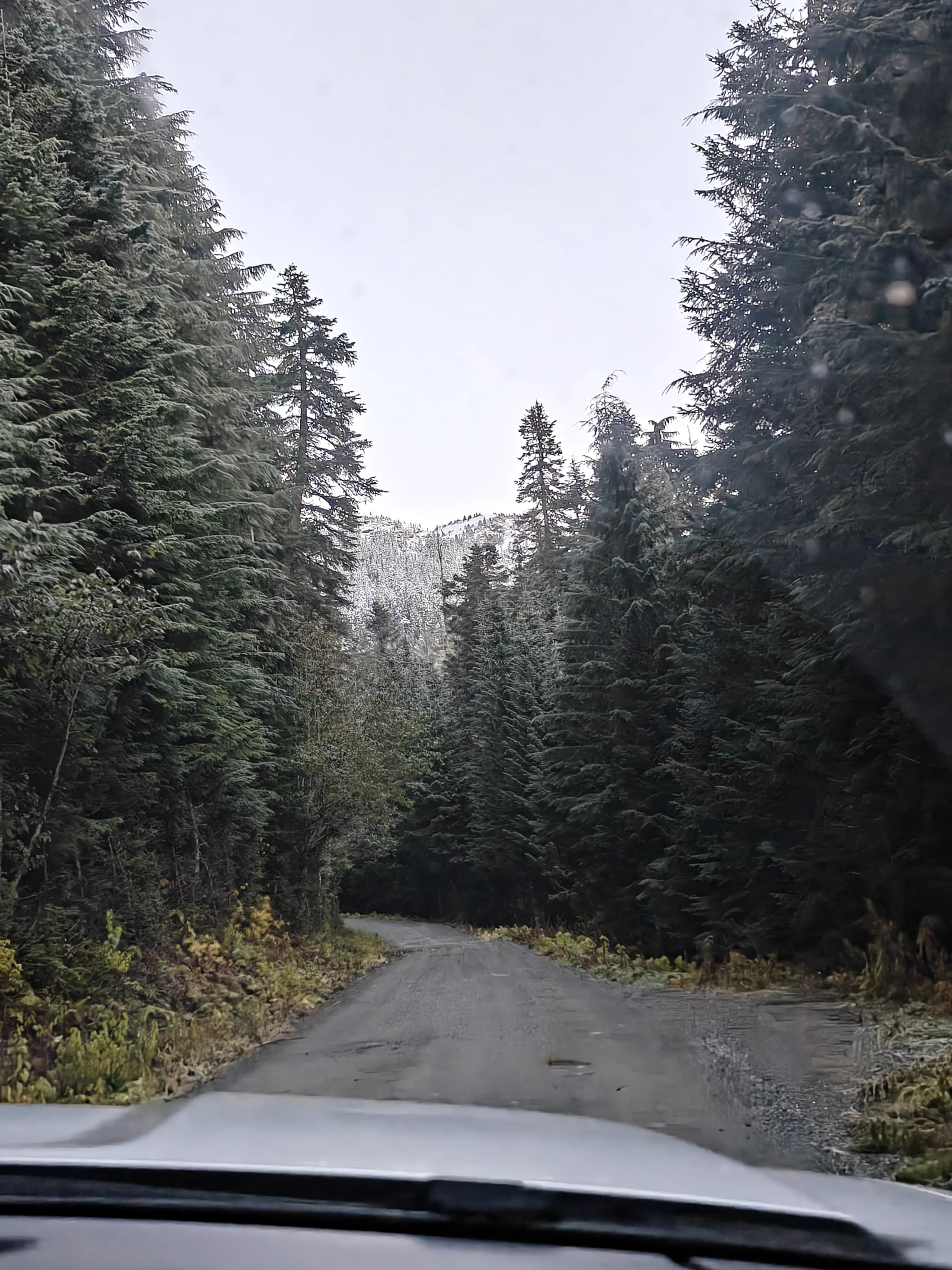 approaching