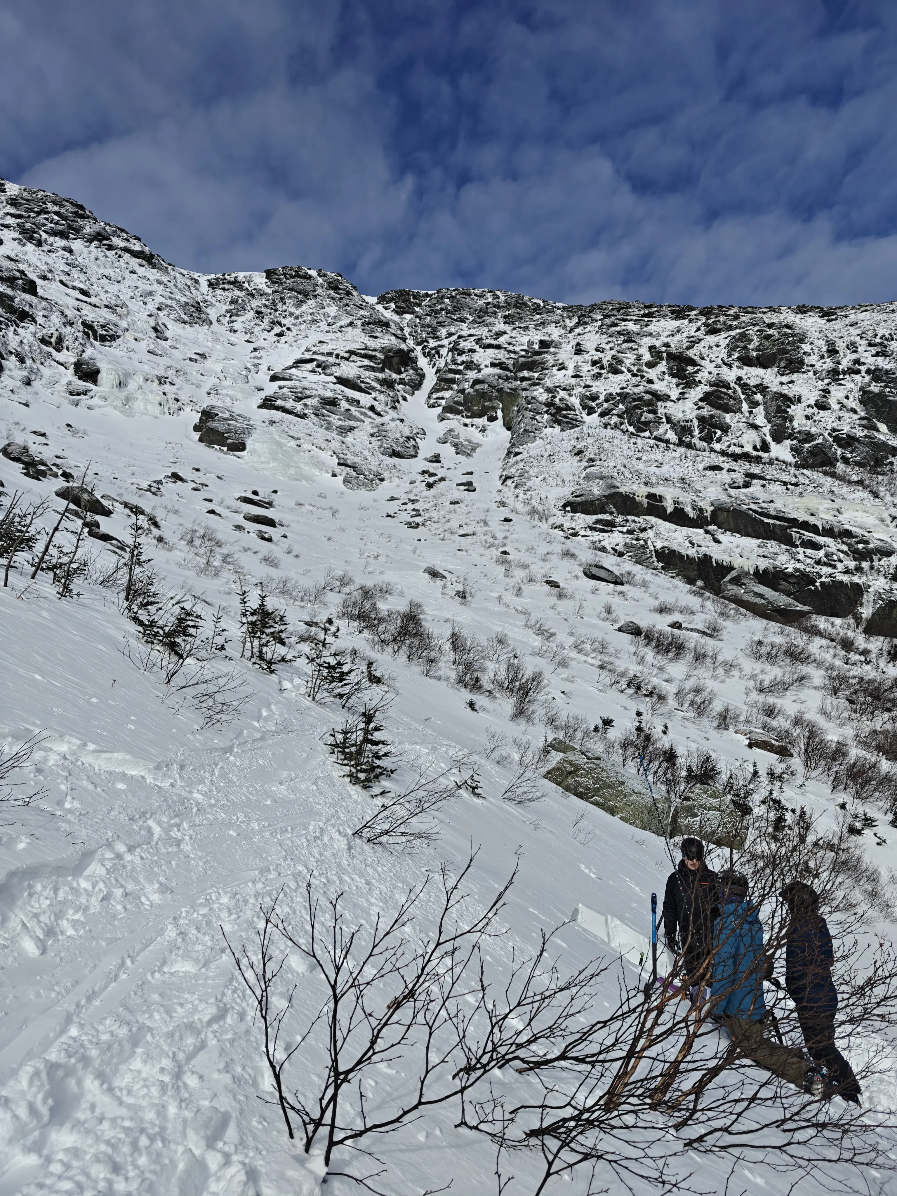 mt washington