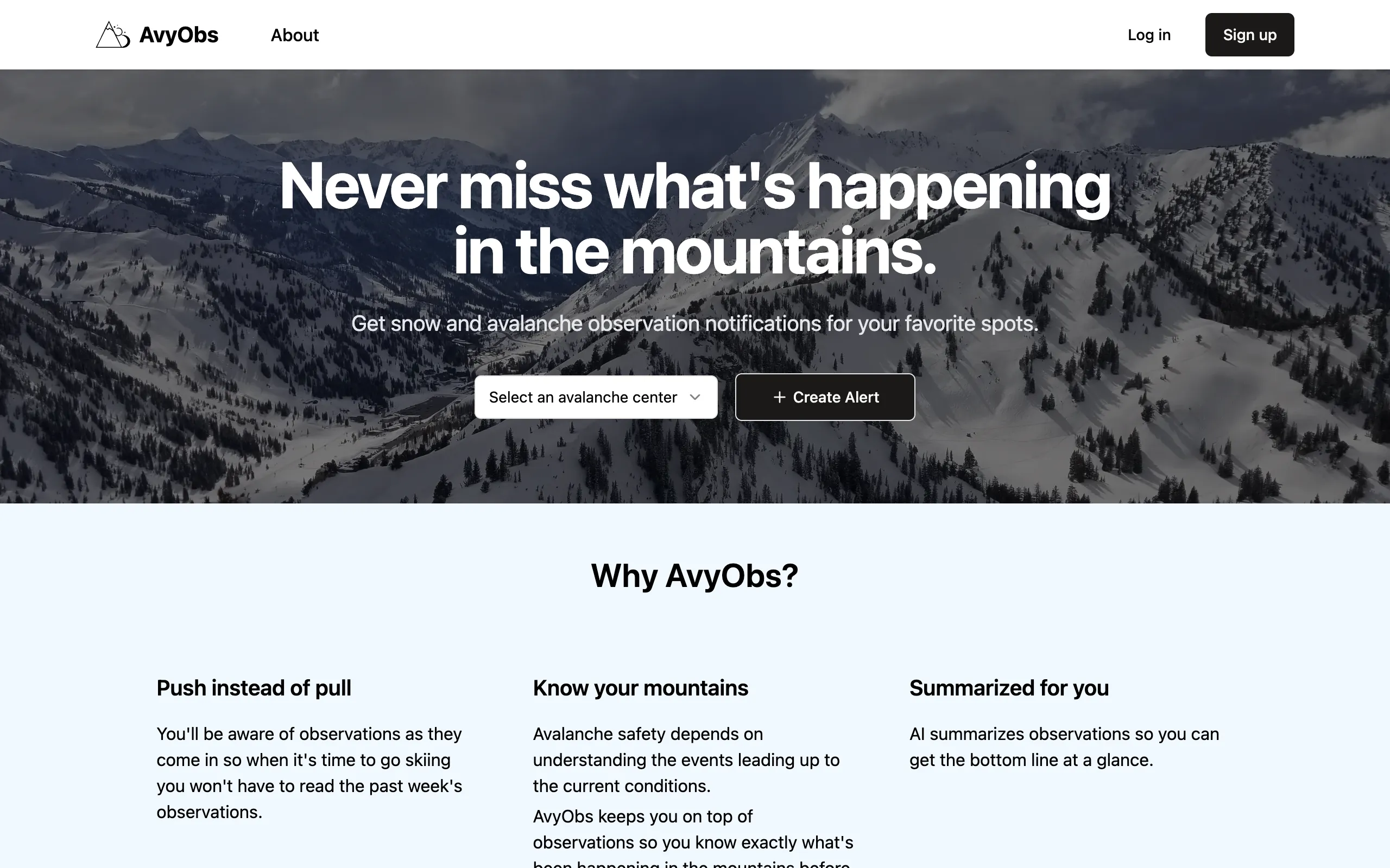 AvyObs screenshot