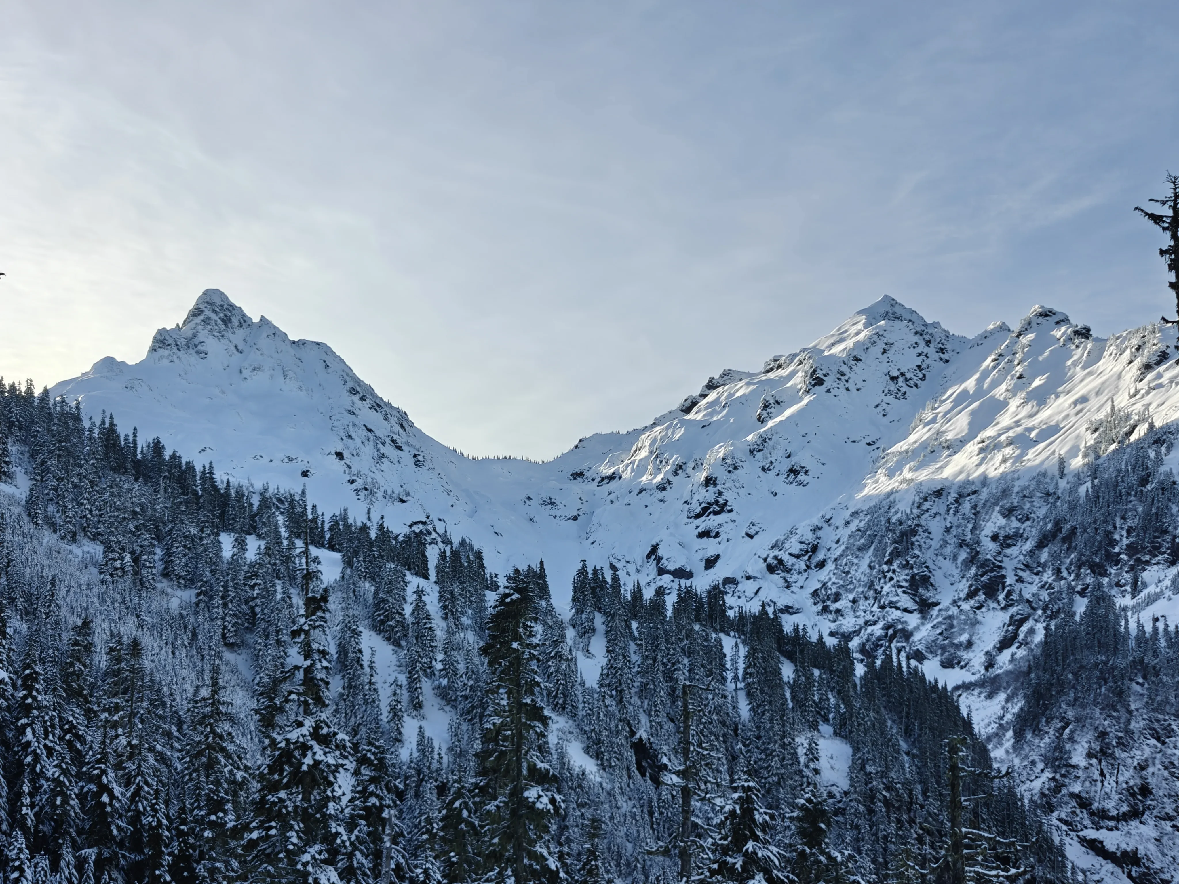 goat mountains