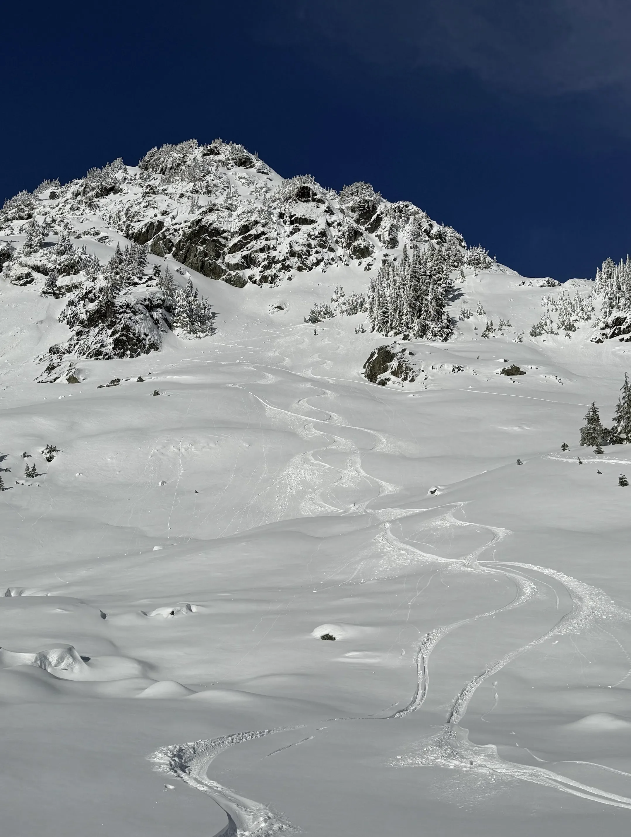 tracks in snow