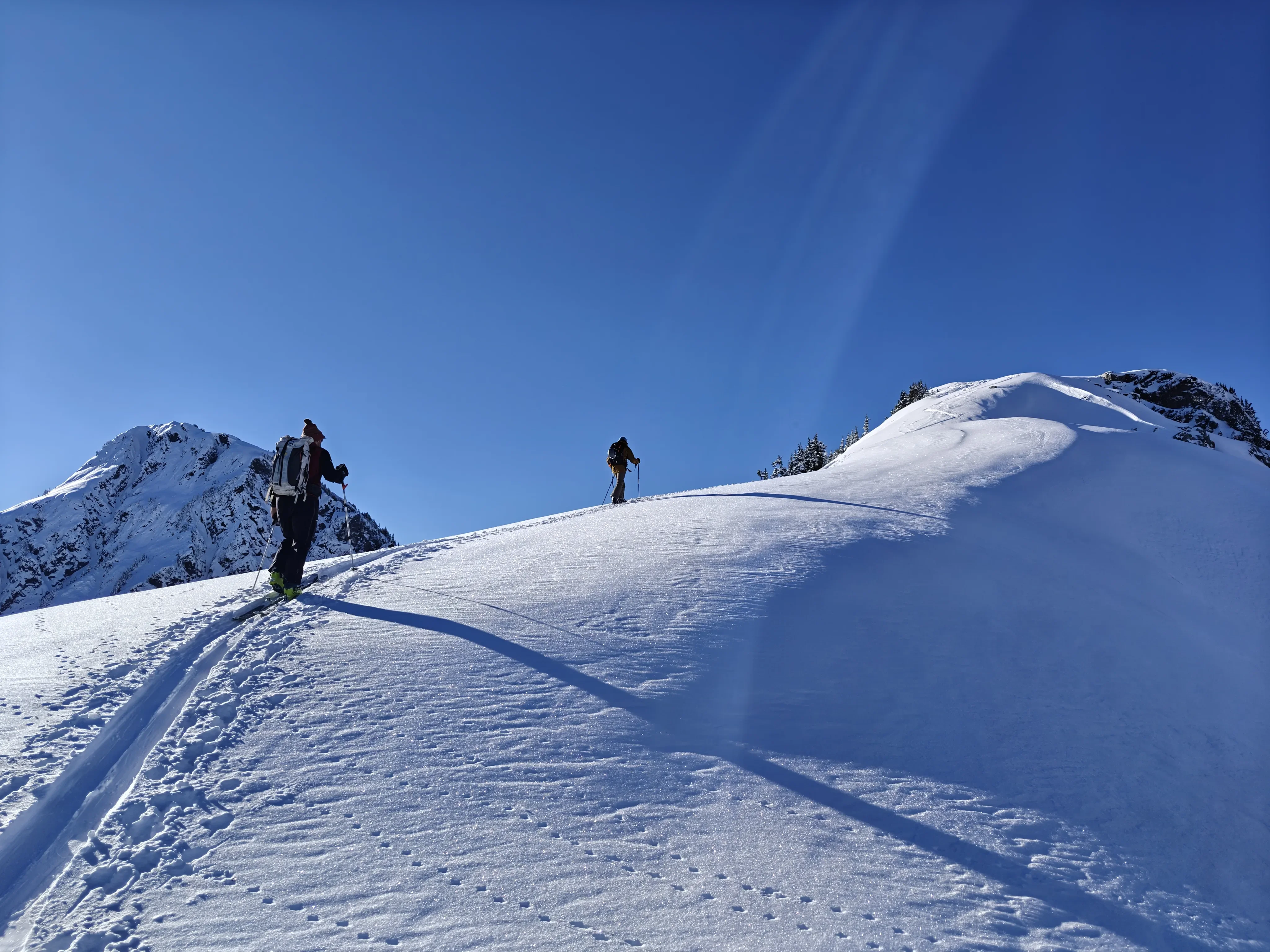 skin track